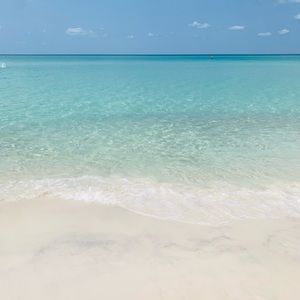 Meet your Posher, AP